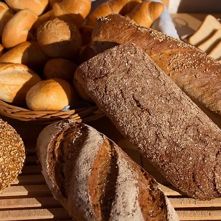 酒店 凯米内酒店